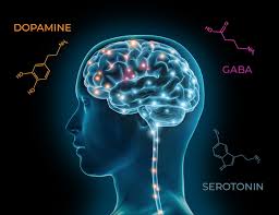 Chemistry of the Mind (Cognitive Science and Philosophy of Mind)